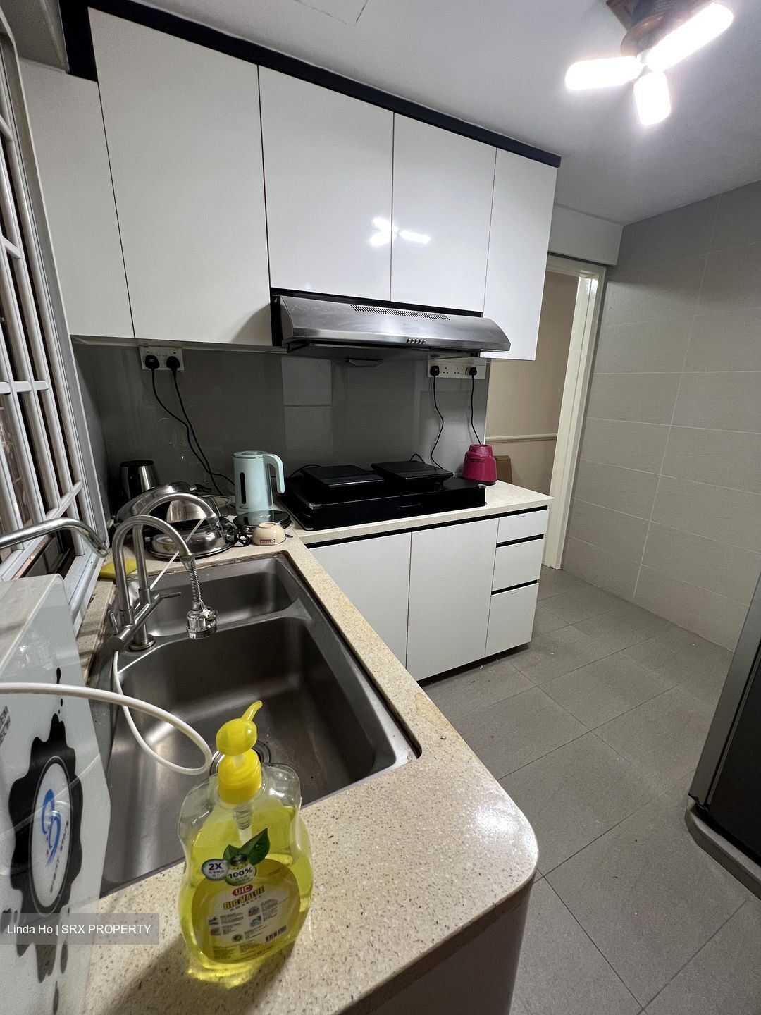 Parc Vista (D22), Condominium #539611471